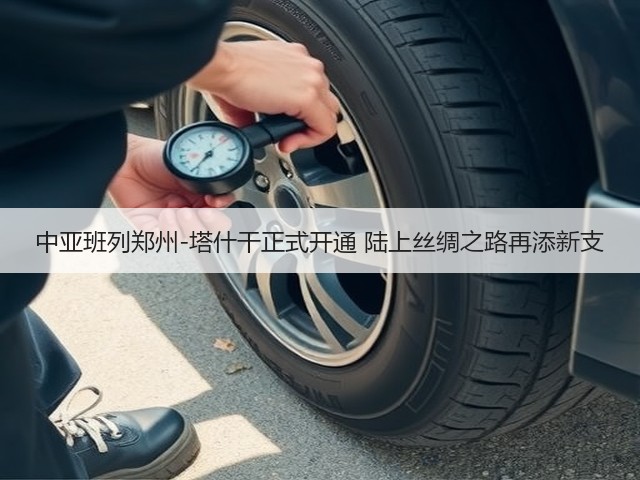 中亚班列郑州-塔什干正式开通 陆上丝绸之路再添新支(图3) 中亚班列郑州-塔什干正式开通 陆上丝绸之路再添新支(图3)