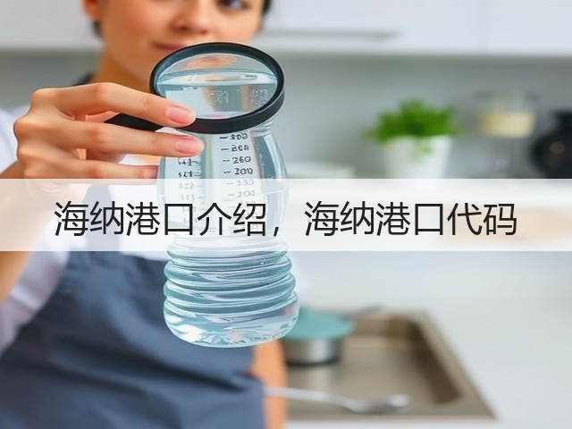 海纳港口介绍，海纳港口代码(图1)