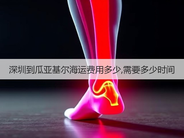 深圳到瓜亚基尔海运费用多少,需要多少时间(图2) 深圳到瓜亚基尔海运费用多少,需要多少时间(图2)