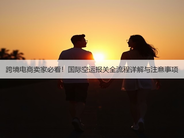跨境电商卖家必看!国际空运报关全流程详解与注意事项(图3) 跨境电商卖家必看!国际空运报关全流程详解与注意事项(图3)