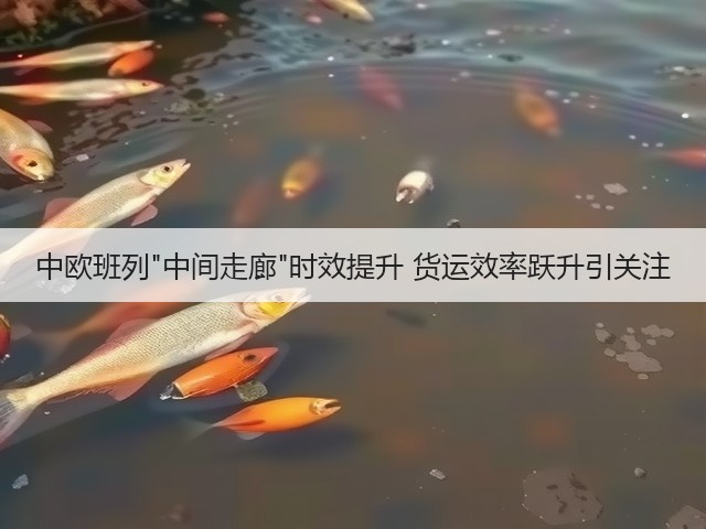 中欧班列中间走廊时效提升 货运效率跃升引关注(图2) 中欧班列中间走廊时效提升 货运效率跃升引关注(图2)