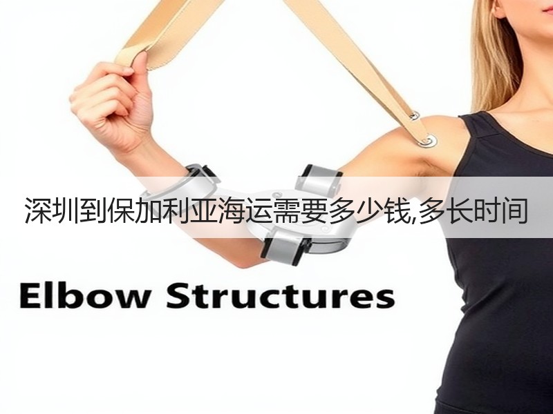 深圳到保加利亚海运需要多少钱,多长时间