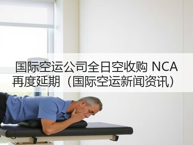 国际空运公司全日空收购 NCA 再度延期(国际空运新闻资讯)(图2) 国际空运公司全日空收购 NCA 再度延期(国际空运新闻资讯)(图2)