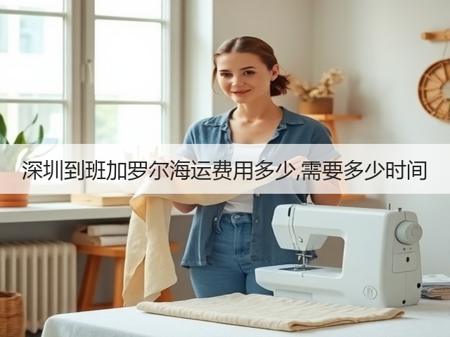 深圳到班加罗尔海运费用多少,需要多少时间(图1) 深圳到班加罗尔海运费用多少,需要多少时间(图1)