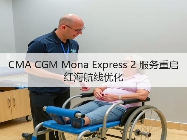 CMA CGM Mona Express 2 服务重启 红海航线优化(图3) CMA CGM Mona Express 2 服务重启 红海航线优化(图3)