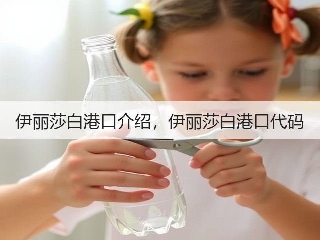 伊丽莎白港口介绍,伊丽莎白港口代码(图2) 伊丽莎白港口介绍,伊丽莎白港口代码(图2)