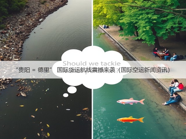“贵阳 = 德里” 国际货运航线震撼来袭(国际空运新闻资讯)(图3) “贵阳 = 德里” 国际货运航线震撼来袭(国际空运新闻资讯)(图3)