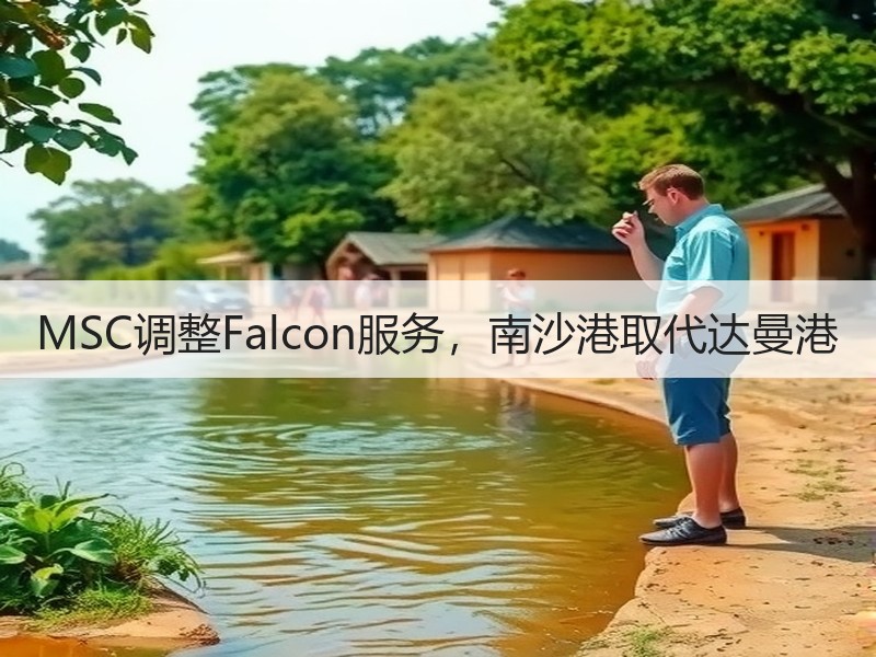 MSC调整Falcon服务,南沙港取代达曼港 MSC调整Falcon服务,南沙港取代达曼港