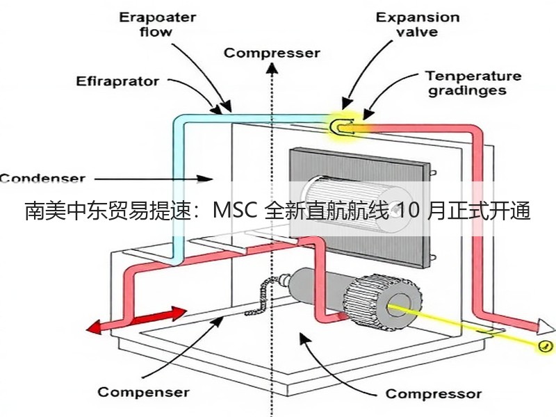 南美中东贸易提速：MSC 全新直航航线 10 月正式开通