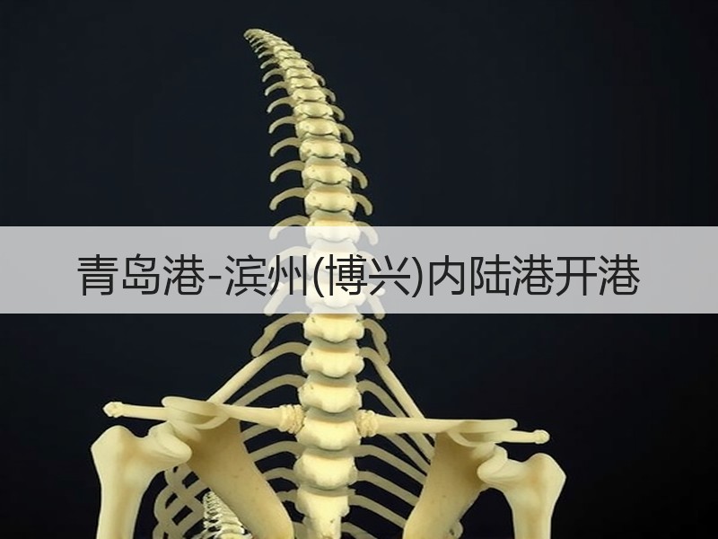 青岛港-滨州(博兴)内陆港开港