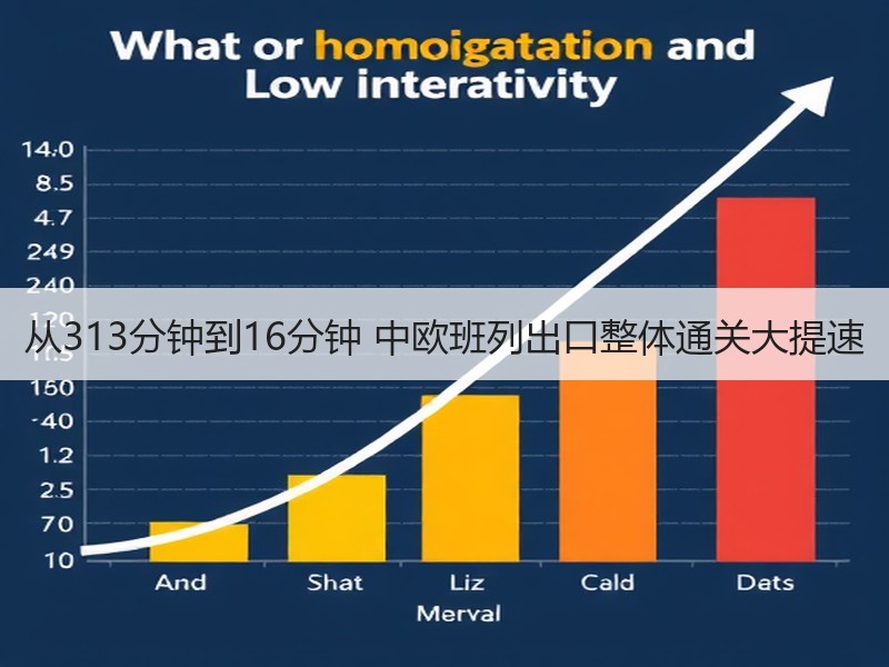 从313分钟到16分钟 中欧班列出口整体通关大提速