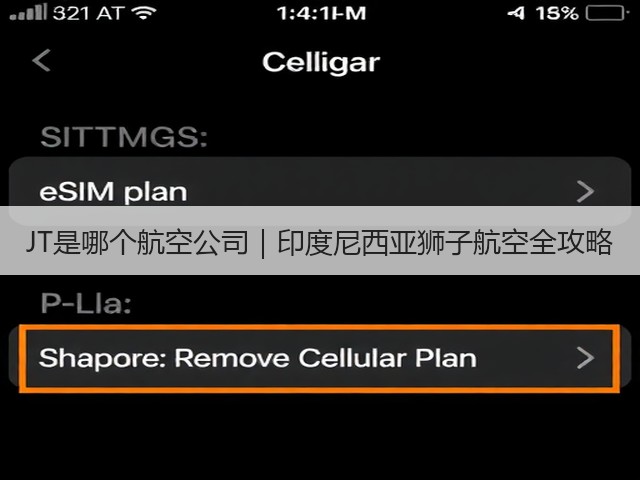 JT是哪个航空公司｜印度尼西亚狮子航空全攻略(图3)