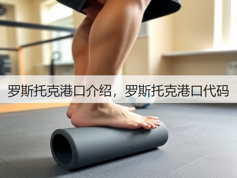 罗斯托克港口介绍，罗斯托克港口代码