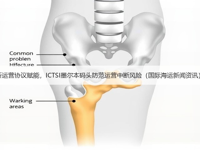 新运营协议赋能，ICTSI墨尔本码头防范运营中断风险（国际海运新闻资讯）(图3)