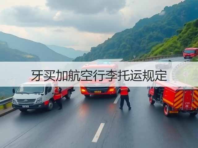 牙买加航空行李托运规定(图2) 牙买加航空行李托运规定(图2)