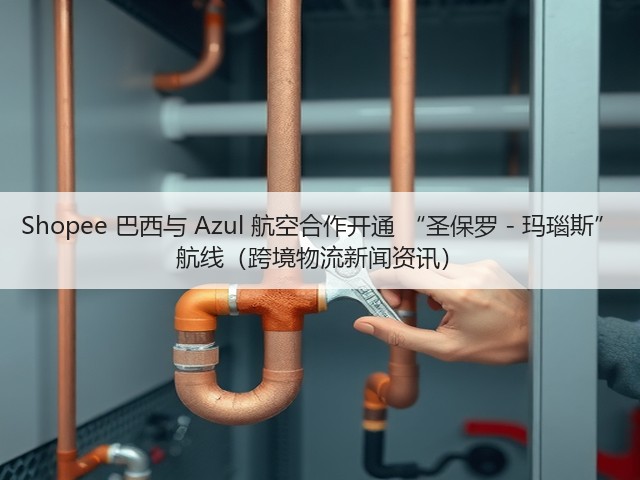 Shopee 巴西与 Azul 航空合作开通 “圣保罗 - 玛瑙斯” 航线(跨境物流新闻资讯)(图3) Shopee 巴西与 Azul 航空合作开通 “圣保罗 - 玛瑙斯” 航线(跨境物流新闻资讯)(图3)