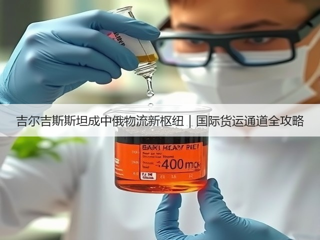 吉尔吉斯斯坦成中俄物流新枢纽|国际货运通道全攻略(图3) 吉尔吉斯斯坦成中俄物流新枢纽|国际货运通道全攻略(图3)