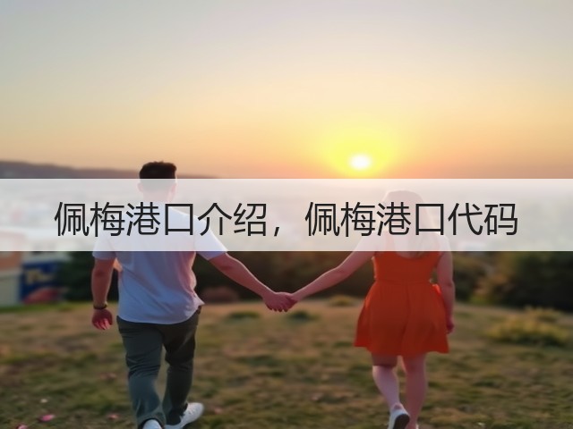 佩梅港口介绍,佩梅港口代码(图1) 佩梅港口介绍,佩梅港口代码(图1)