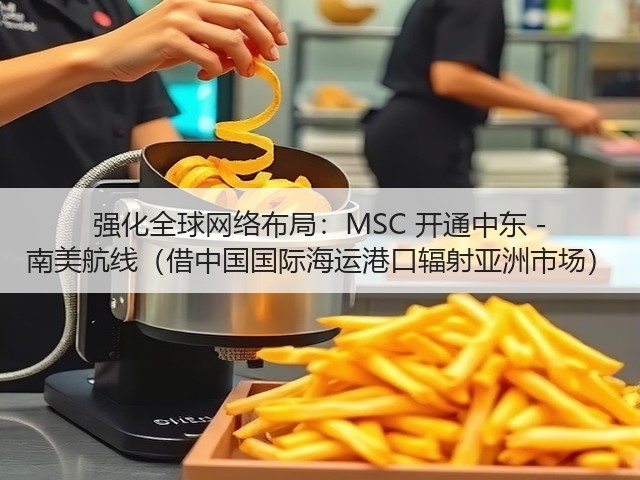 强化全球网络布局：MSC 开通中东 - 南美航线（借中国国际海运港口辐射亚洲市场）(图3)