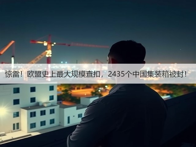 惊雷！欧盟史上最大规模查扣，2435个中国集装箱被封！(图2)
