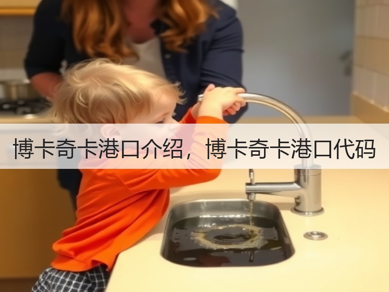 博卡奇卡港口介绍，博卡奇卡港口代码