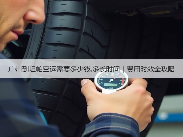 广州到坦帕空运需要多少钱,多长时间|费用时效全攻略(图2) 广州到坦帕空运需要多少钱,多长时间|费用时效全攻略(图2)