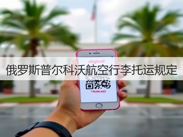俄罗斯普尔科沃航空行李托运规定(图3) 俄罗斯普尔科沃航空行李托运规定(图3)