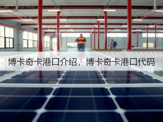 博卡奇卡港口介绍,博卡奇卡港口代码(图3) 博卡奇卡港口介绍,博卡奇卡港口代码(图3)