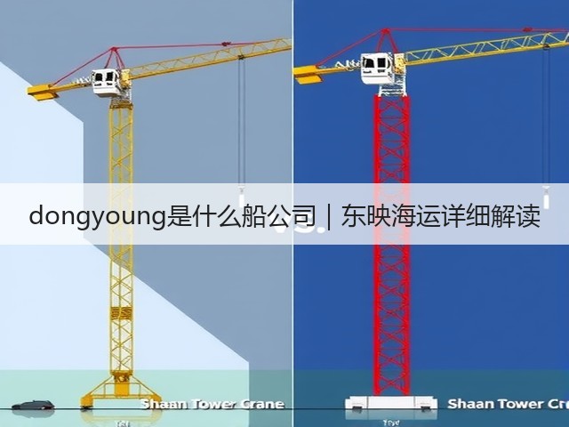 dongyoung是什么船公司|东映海运详细解读(图2) dongyoung是什么船公司|东映海运详细解读(图2)