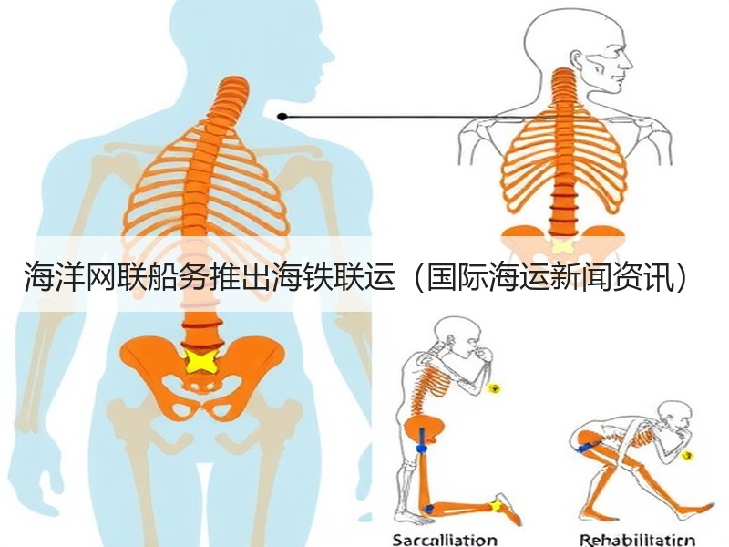 海洋网联船务推出海铁联运（国际海运新闻资讯）