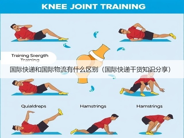 国际快递和国际物流有什么区别(国际快递干货知识分享)(图3) 国际快递和国际物流有什么区别(国际快递干货知识分享)(图3)