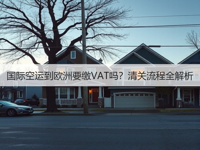 国际空运到欧洲要缴VAT吗?清关流程全解析(图1) 国际空运到欧洲要缴VAT吗?清关流程全解析(图1)