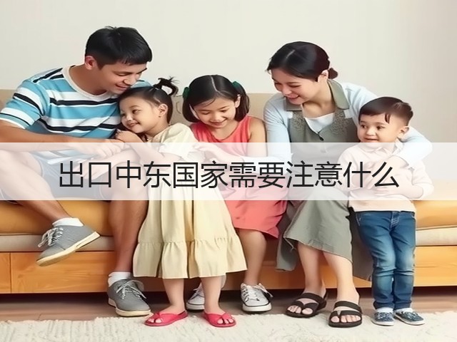 出口中东国家需要注意什么(图2) 出口中东国家需要注意什么(图2)