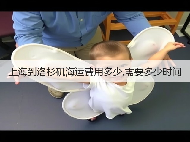 上海到洛杉矶海运费用多少,需要多少时间(图3) 上海到洛杉矶海运费用多少,需要多少时间(图3)