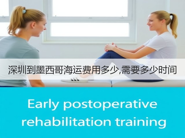 深圳到墨西哥海运费用多少,需要多少时间(图3) 深圳到墨西哥海运费用多少,需要多少时间(图3)