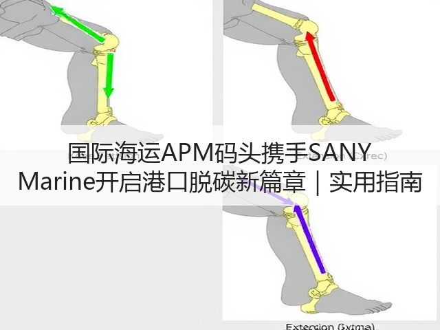 国际海运APM码头携手SANY Marine开启港口脱碳新篇章|实用指南(图1) 国际海运APM码头携手SANY Marine开启港口脱碳新篇章|实用指南(图1)