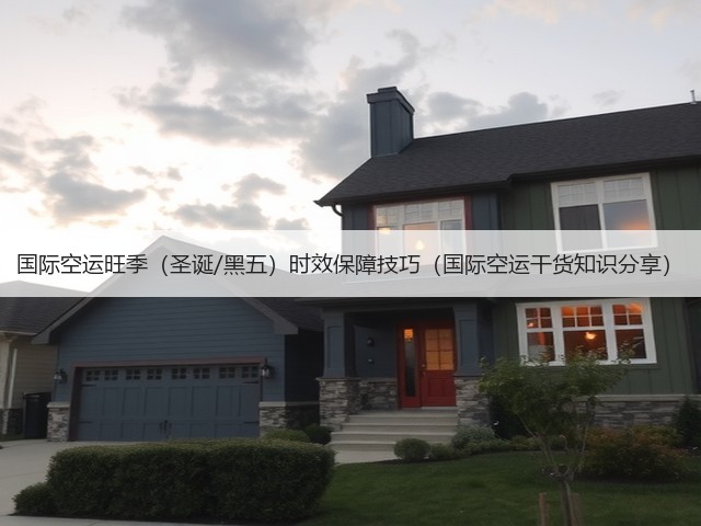 国际空运旺季(圣诞/黑五)时效保障技巧(国际空运干货知识分享)(图1) 国际空运旺季(圣诞/黑五)时效保障技巧(国际空运干货知识分享)(图1)