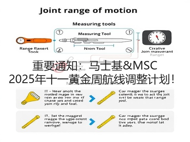 重要通知:马士基&MSC 2025年十一黄金周航线调整计划!(图3) 重要通知:马士基&MSC 2025年十一黄金周航线调整计划!(图3)