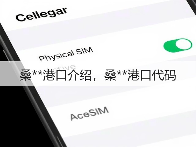 桑**港口介绍，桑**港口代码(图1)