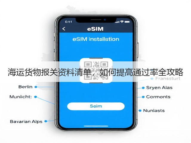海运货物报关资料清单,如何提高通过率全攻略(图3) 海运货物报关资料清单,如何提高通过率全攻略(图3)