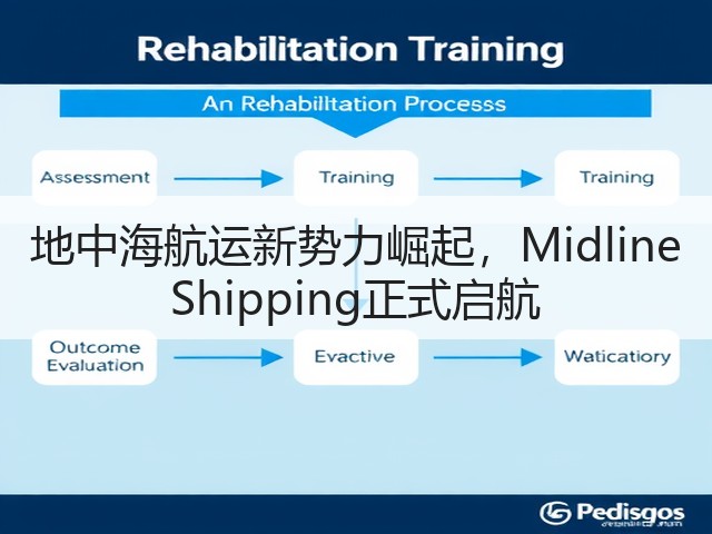 地中海航运新势力崛起,Midline Shipping正式启航(图3) 地中海航运新势力崛起,Midline Shipping正式启航(图3)