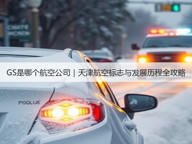 GS是哪个航空公司|天津航空标志与发展历程全攻略 GS是哪个航空公司|天津航空标志与发展历程全攻略