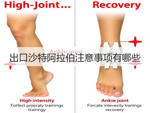 出口沙特阿拉伯注意事项有哪些(图1) 出口沙特阿拉伯注意事项有哪些(图1)