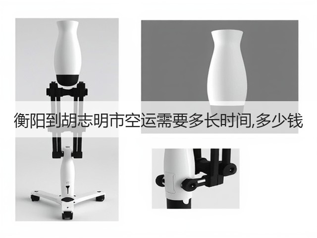 衡阳到胡志明市空运需要多长时间,多少钱(图1) 衡阳到胡志明市空运需要多长时间,多少钱(图1)
