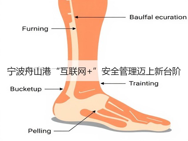 宁波舟山港“互联网+”安全管理迈上新台阶(图1) 宁波舟山港“互联网+”安全管理迈上新台阶(图1)
