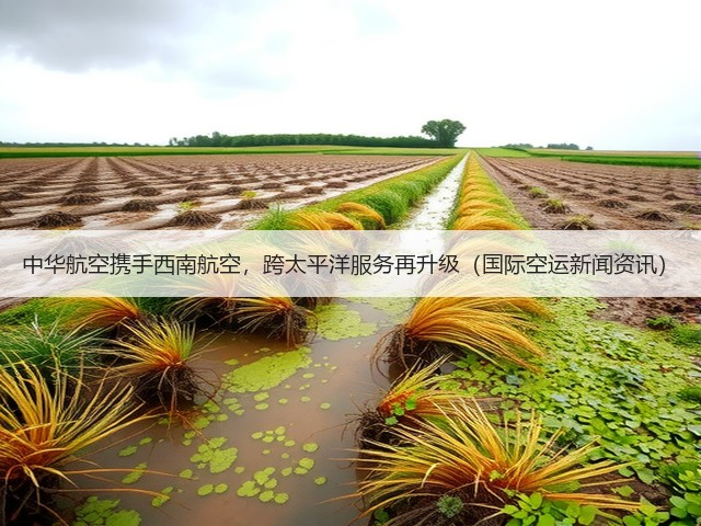 中华航空携手西南航空，跨太平洋服务再升级（国际空运新闻资讯）(图3)