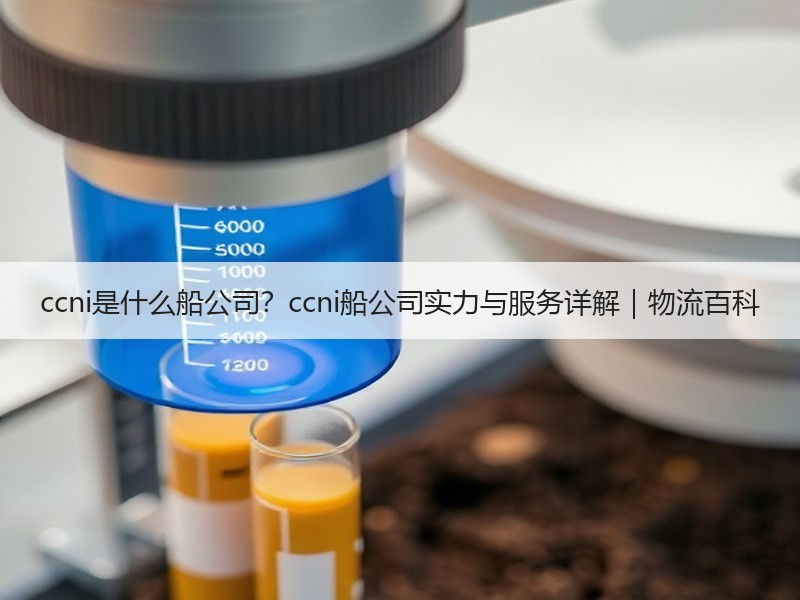ccni是什么船公司?ccni船公司实力与服务详解|物流百科 ccni是什么船公司?ccni船公司实力与服务详解|物流百科
