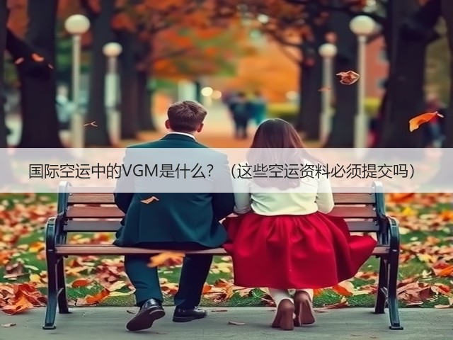 国际空运中的VGM是什么?(这些空运资料必须提交吗)(图2) 国际空运中的VGM是什么?(这些空运资料必须提交吗)(图2)