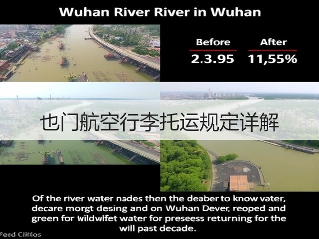 也门航空行李托运规定详解(图1) 也门航空行李托运规定详解(图1)