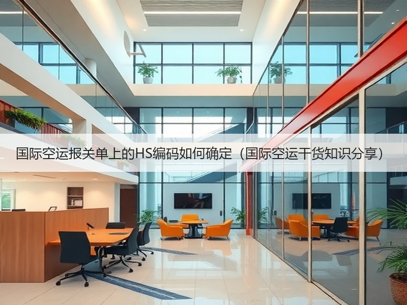 国际空运报关单上的HS编码如何确定（国际空运干货知识分享）